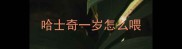 哈士奇一岁怎么喂