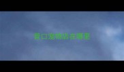 营口宠物店在哪里