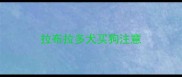 拉布拉多犬买狗注意