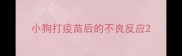 小狗打疫苗后的不良反应