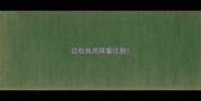 边牧肩高体重比例