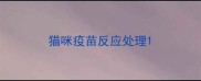 猫咪疫苗反应处理