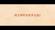 哈士奇吃东西牙出血