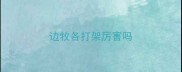 边牧各打架厉害吗