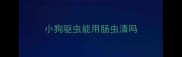 小狗驱虫能用肠虫清吗
