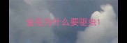 金毛为什么要驱虫