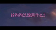 给狗狗洗澡用什么