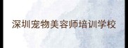 深圳宠物美容师培训学校