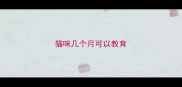 猫咪几个月可以教育