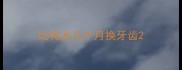 比特犬几个月换牙齿