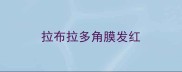 拉布拉多角膜发红