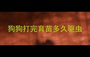 狗狗打完育苗多久驱虫