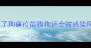 打了狗瘟疫苗狗狗还会被感染吗