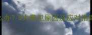 猫咪打喷嚏不感冒怎么办5大常见原因及应对指南附专业兽医建议
