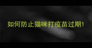 如何防止猫咪打疫苗过期