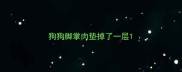 狗狗脚掌肉垫掉了一层