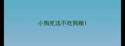 小狗死活不吃狗粮