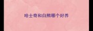 哈士奇和白熊哪个好养