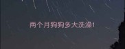 两个月狗狗多大洗澡