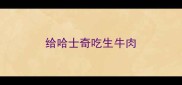 给哈士奇吃生牛肉
