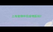 上海宠物伴侣宠物医院