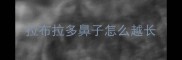 拉布拉多鼻子怎么越长