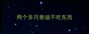 两个多月泰迪不吃东西