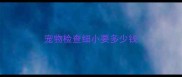 宠物检查细小要多少钱