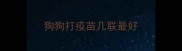狗狗打疫苗几联最好