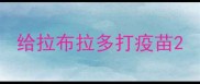 给拉布拉多打疫苗