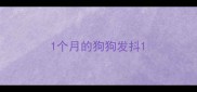1个月的狗狗发抖