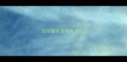 沈阳哪家宠物美容好