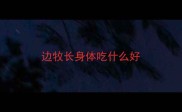边牧长身体吃什么好