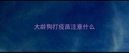 大龄狗打疫苗注意什么