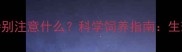两个月雪纳瑞需要特别注意什么科学饲养指南生理发育全与养护技巧