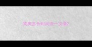 狗狗多长时间洗一次澡