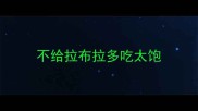 不给拉布拉多吃太饱
