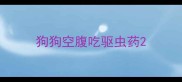 狗狗空腹吃驱虫药