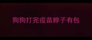 狗狗打完疫苗脖子有包
