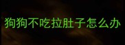 狗狗不吃拉肚子怎么办