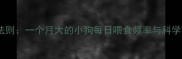 幼犬喂养黄金法则一个月大的小狗每日喂食频率与科学营养配比指南