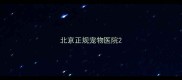 北京正规宠物医院