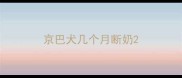 京巴犬几个月断奶