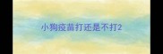 小狗疫苗打还是不打