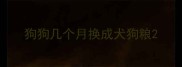 狗狗几个月换成犬狗粮