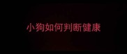 小狗如何判断健康