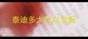 泰迪多大可以交配