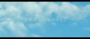 宠物美容师培训中心