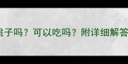 宠物狗能吃桃子吗可以吃吗附详细解答及营养指南