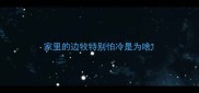 家里的边牧特别怕冷是为啥